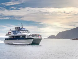 From Queenstown: Doubtful Sound Wilderness Cruise